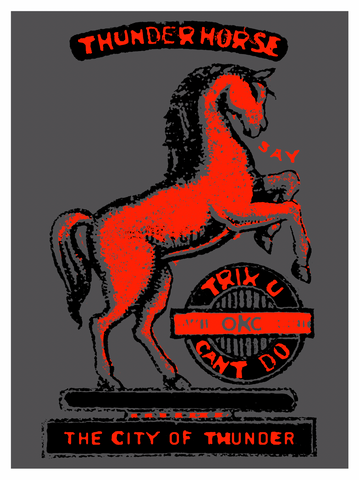 THUNDERHORSE PRINT